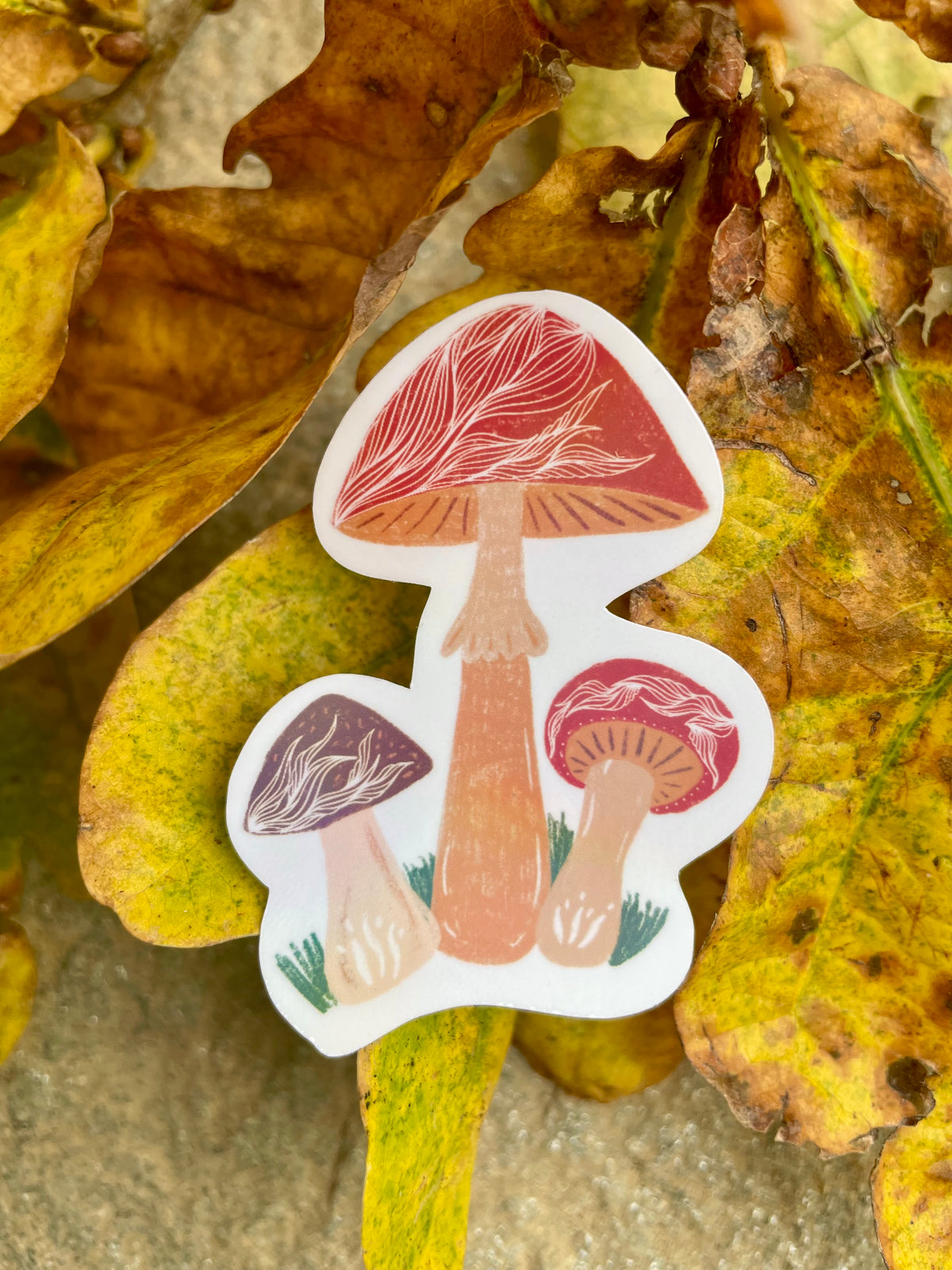 Pack stickers Automne