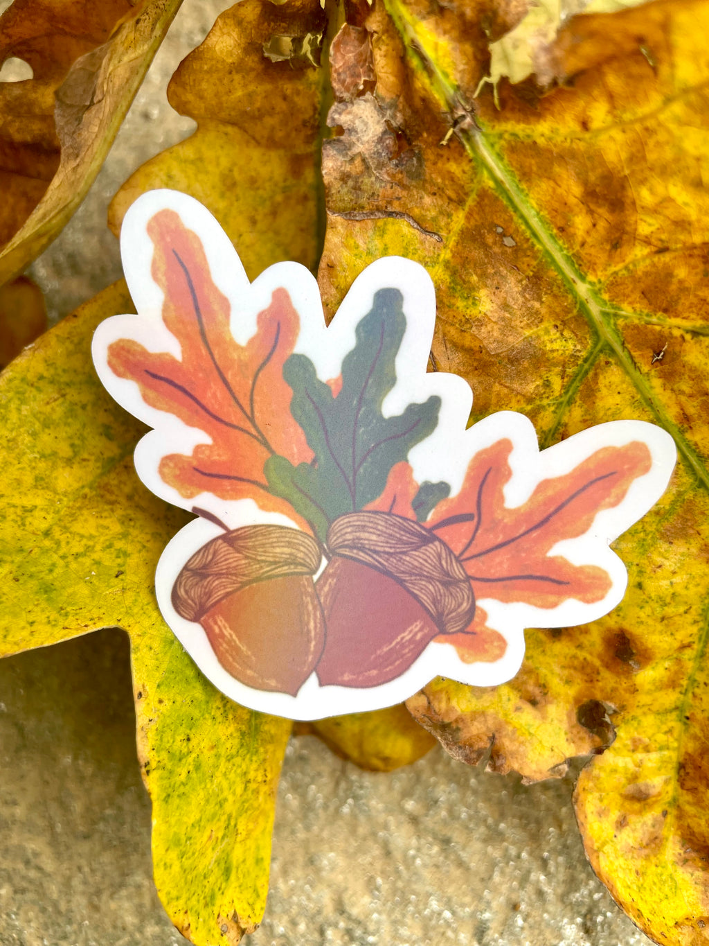 Pack stickers Automne
